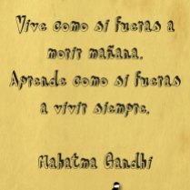 Afiche Gandhi